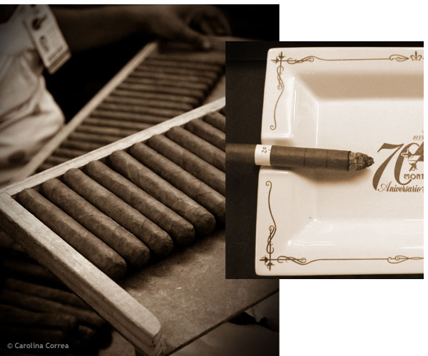 Cigar Factory Tours at LFDa - Cigar Tasting Basics Tour